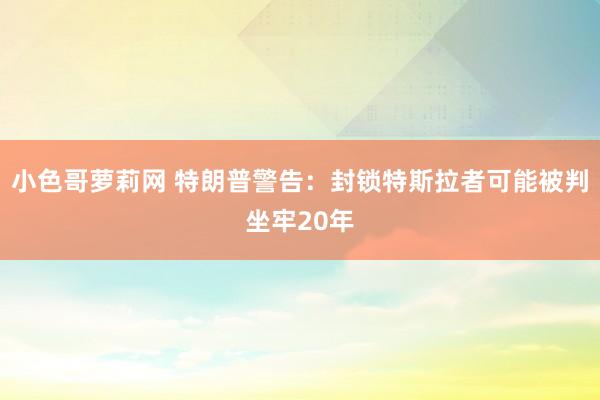 小色哥萝莉网 特朗普警告：封锁特斯拉者可能被判坐牢20年