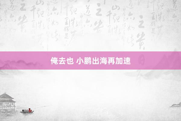俺去也 小鹏出海再加速