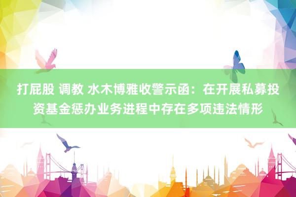 打屁股 调教 水木博雅收警示函：在开展私募投资基金惩办业务进程中存在多项违法情形