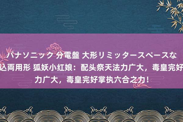 パナソニック 分電盤 大形リミッタースペースなし 露出・半埋込両用形 狐妖小红娘：配头祭天法力广大，毒皇完好掌执六合之力！