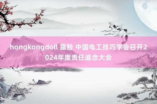 hongkongdoll 露脸 中国电工技巧学会召开2024年度责任追念大会