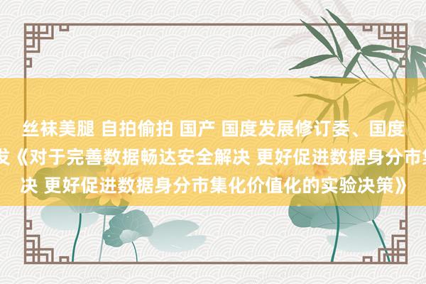 丝袜美腿 自拍偷拍 国产 国度发展修订委、国度数据局等六部门蚁合印发《对于完善数据畅达安全解决 更好促进数据身分市集化价值化的实验决策》