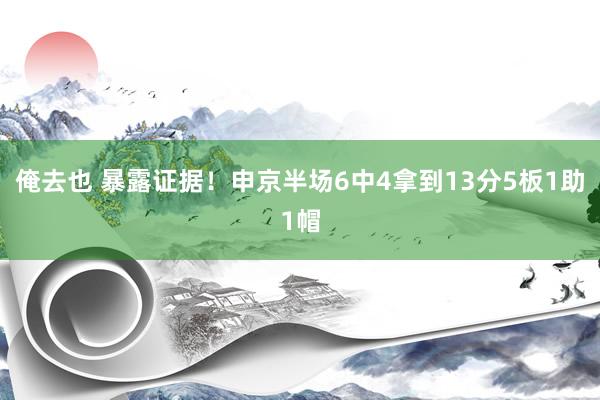 俺去也 暴露证据！申京半场6中4拿到13分5板1助1帽