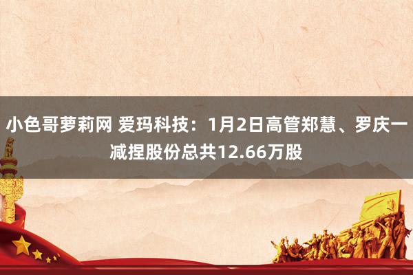 小色哥萝莉网 爱玛科技：1月2日高管郑慧、罗庆一减捏股份总共12.66万股