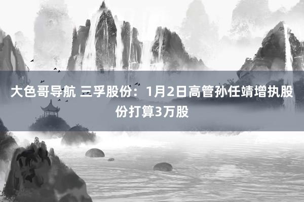 大色哥导航 三孚股份：1月2日高管孙任靖增执股份打算3万股