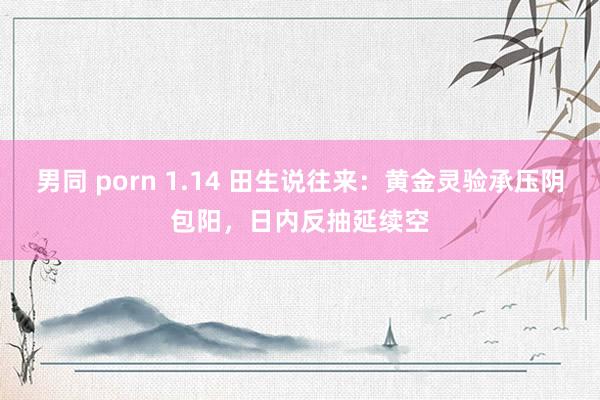 男同 porn 1.14 田生说往来：黄金灵验承压阴包阳，日内反抽延续空