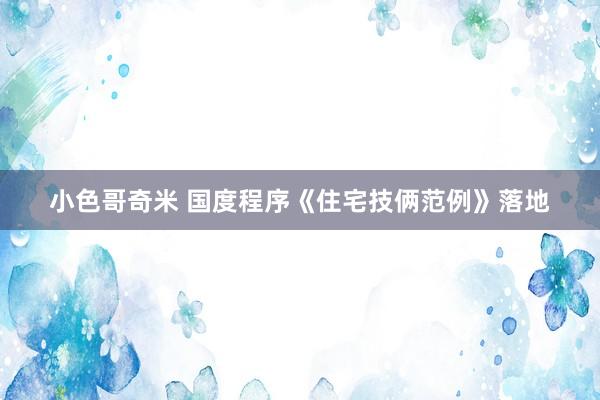 小色哥奇米 国度程序《住宅技俩范例》落地