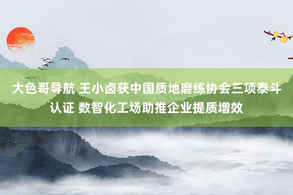 大色哥导航 王小卤获中国质地磨练协会三项泰斗认证 数智化工场助推企业提质增效