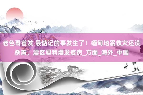 老色哥首发 最惦记的事发生了！缅甸地震救灾还没杀青，震区犀利爆发疫疠_方面_海外_中国