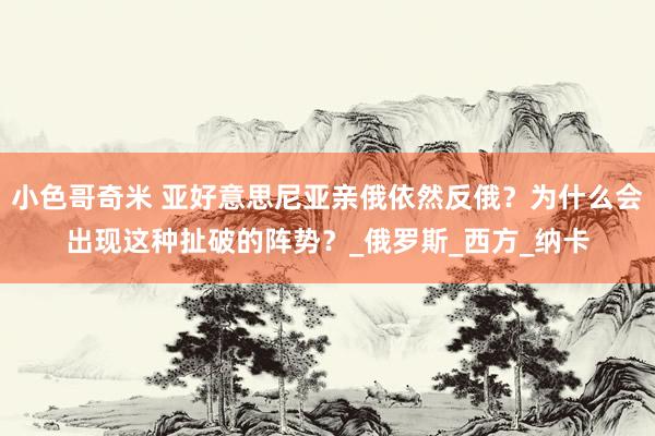 小色哥奇米 亚好意思尼亚亲俄依然反俄？为什么会出现这种扯破的阵势？_俄罗斯_西方_纳卡
