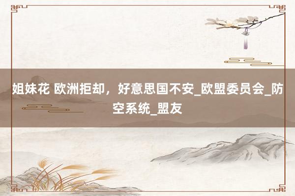 姐妹花 欧洲拒却，好意思国不安_欧盟委员会_防空系统_盟友