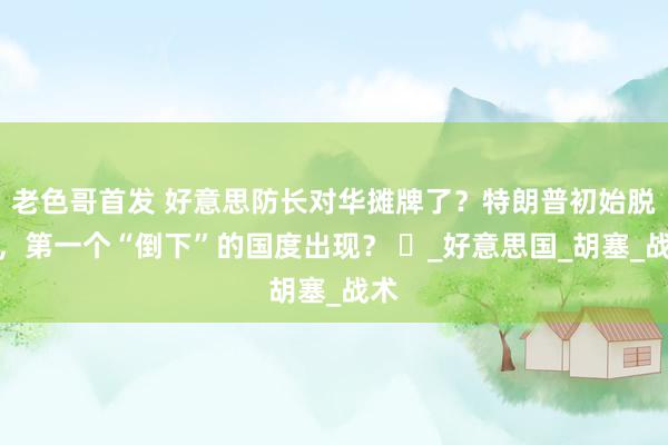 老色哥首发 好意思防长对华摊牌了？特朗普初始脱手，第一个“倒下”的国度出现？ ​_好意思国_胡塞_战术