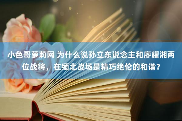 小色哥萝莉网 为什么说孙立东说念主和廖耀湘两位战将，在缅北战场是精巧绝伦的和谐？