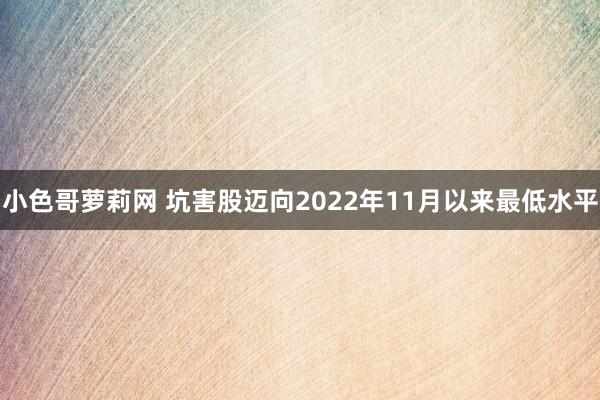 小色哥萝莉网 坑害股迈向2022年11月以来最低水平