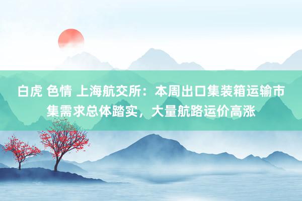 白虎 色情 上海航交所：本周出口集装箱运输市集需求总体踏实，大量航路运价高涨
