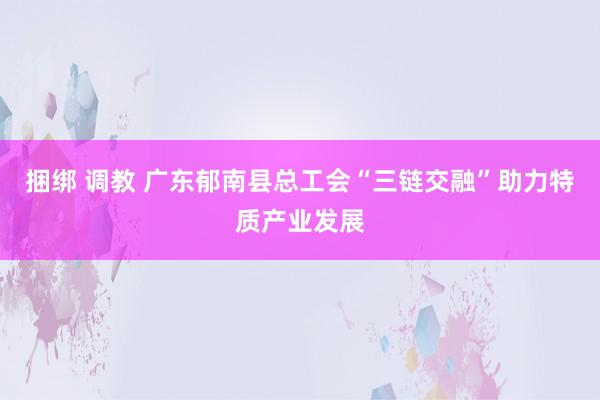 捆绑 调教 广东郁南县总工会“三链交融”助力特质产业发展