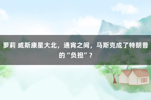 萝莉 威斯康星大北，通宵之间，马斯克成了特朗普的“负担”？