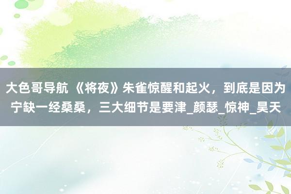 大色哥导航 《将夜》朱雀惊醒和起火，到底是因为宁缺一经桑桑，三大细节是要津_颜瑟_惊神_昊天
