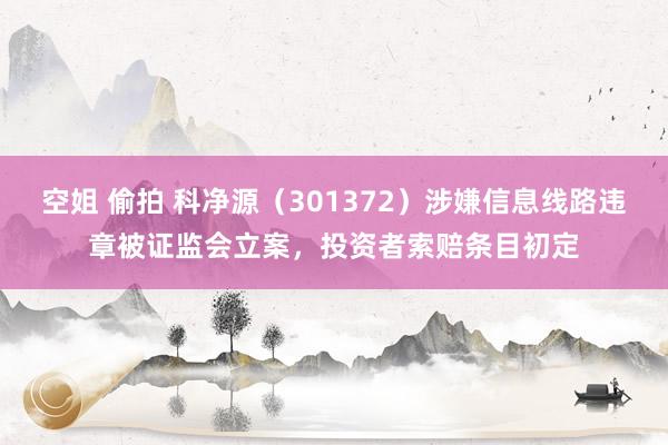 空姐 偷拍 科净源（301372）涉嫌信息线路违章被证监会立案，投资者索赔条目初定