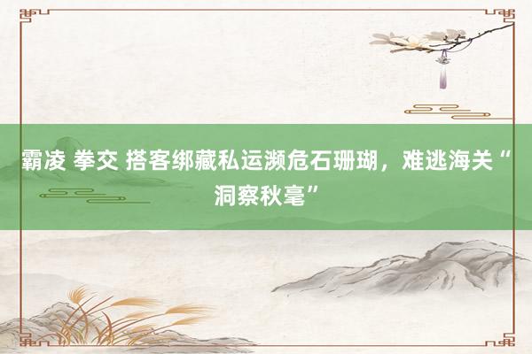 霸凌 拳交 搭客绑藏私运濒危石珊瑚，难逃海关“洞察秋毫”