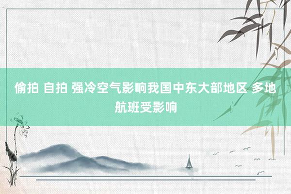 偷拍 自拍 强冷空气影响我国中东大部地区 多地航班受影响