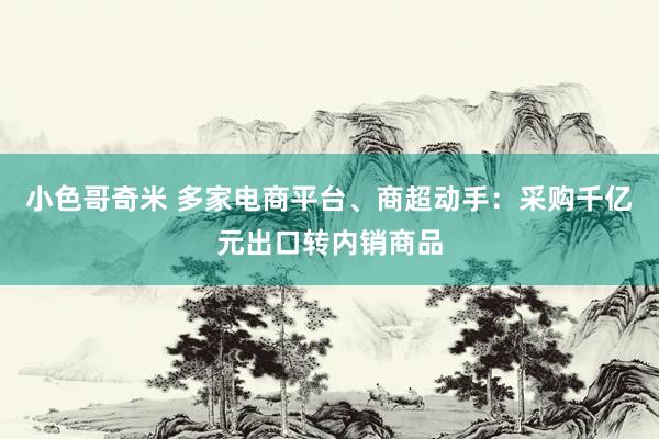 小色哥奇米 多家电商平台、商超动手：采购千亿元出口转内销商品