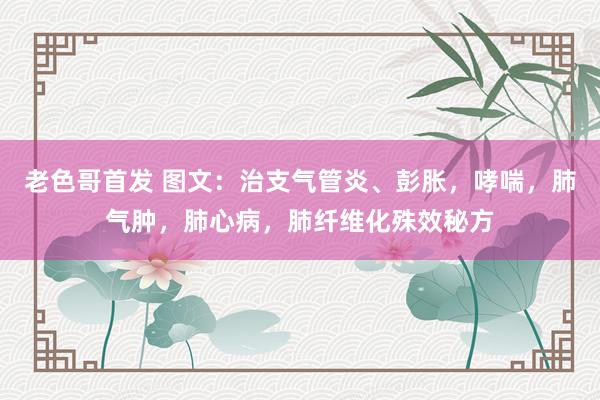 老色哥首发 图文：治支气管炎、彭胀，哮喘，肺气肿，<a href=