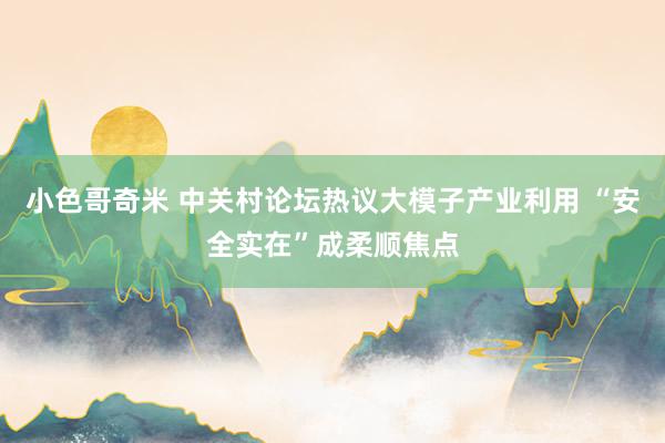小色哥奇米 中关村论坛热议大模子产业利用 “安全实在”成柔顺焦点