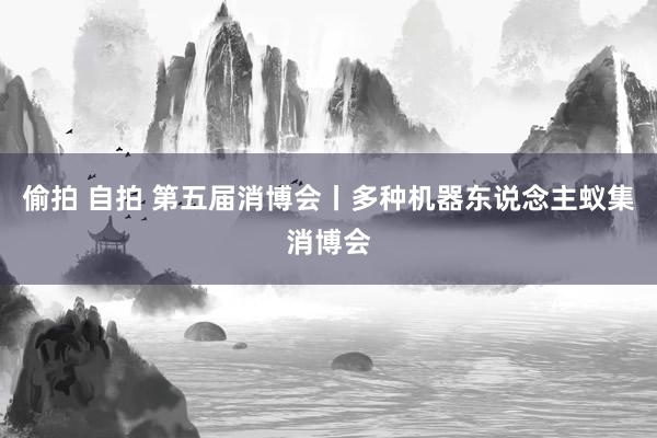 偷拍 自拍 第五届消博会丨多种机器东说念主蚁集消博会