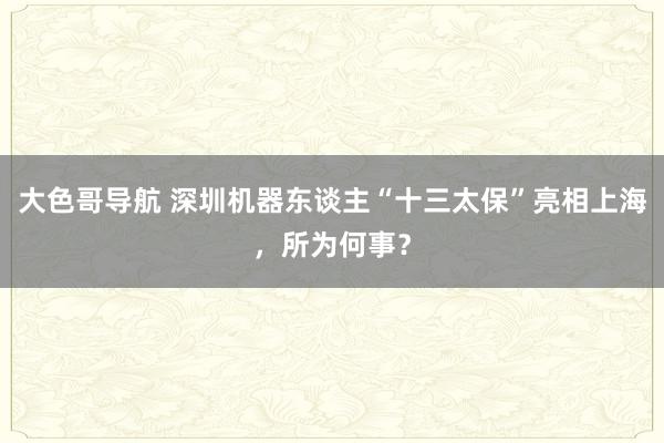 大色哥导航 深圳机器东谈主“十三太保”亮相上海，所为何事？