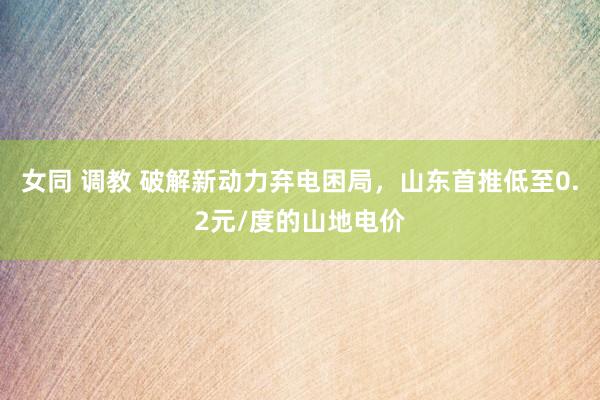 女同 调教 破解新动力弃电困局，山东首推低至0.2元/度的山地电价