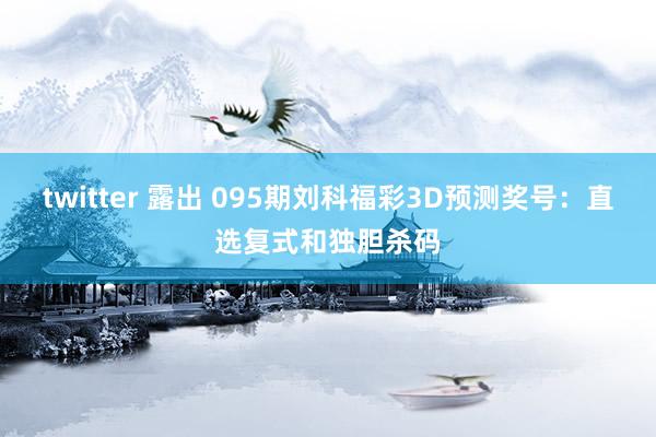 twitter 露出 095期刘科福彩3D预测奖号：直选复式和独胆杀码