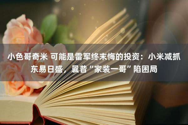 小色哥奇米 可能是雷军终末悔的投资：小米减抓东易日盛，曩昔“家装一哥”陷困局