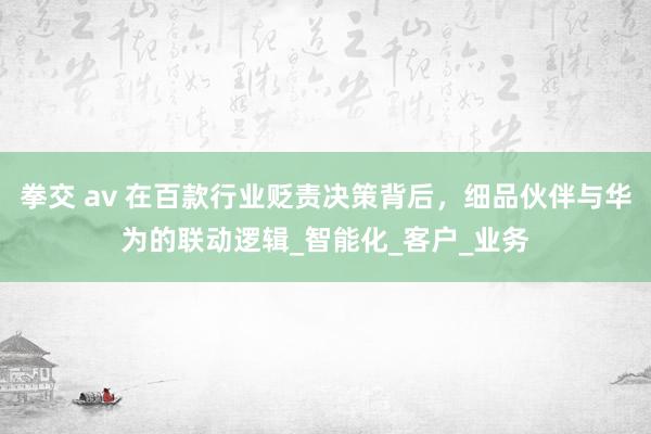 拳交 av 在百款行业贬责决策背后，细品伙伴与华为的联动逻辑_智能化_客户_业务