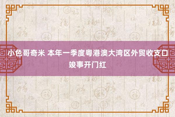 小色哥奇米 本年一季度粤港澳大湾区外贸收支口竣事开门红