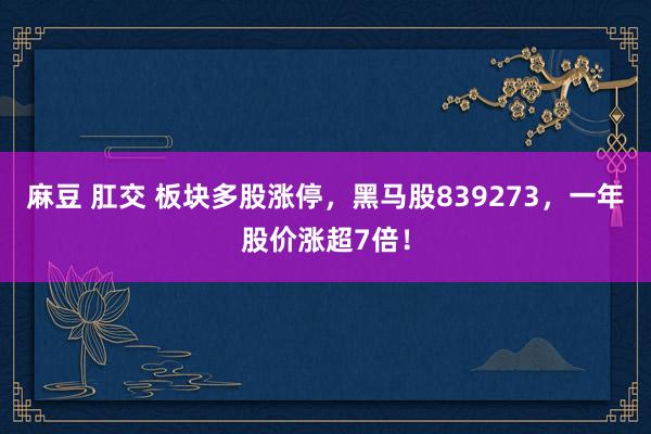 麻豆 肛交 板块多股涨停，黑马股839273，一年股价涨超7倍！
