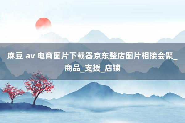 麻豆 av 电商图片下载器京东整店图片相接会聚_商品_支援_店铺