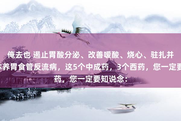 俺去也 遏止胃酸分泌、改善嗳酸、烧心、驻扎并发症，休养胃食管反流病，这5个中成药，3个西药，您一定要知说念：