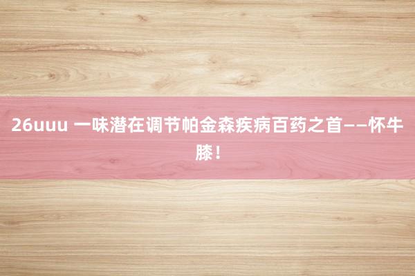 26uuu 一味潜在调节帕金森疾病百药之首——怀牛膝！