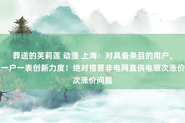 葬送的芙莉莲 动漫 上海：对具备条目的用户，加大一户一表创新力度！绝对措置非电网直供电顺次涨价问题