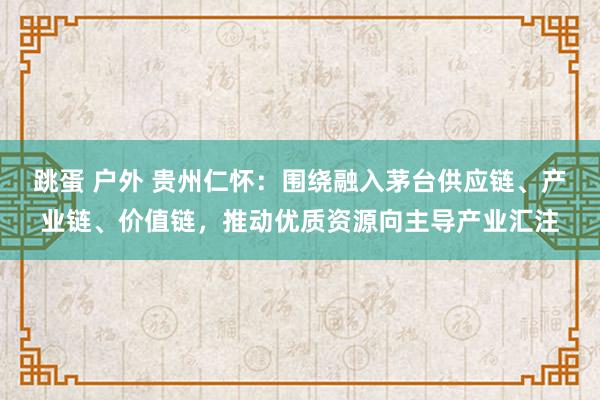 跳蛋 户外 贵州仁怀：围绕融入茅台供应链、产业链、价值链，推动优质资源向主导产业汇注