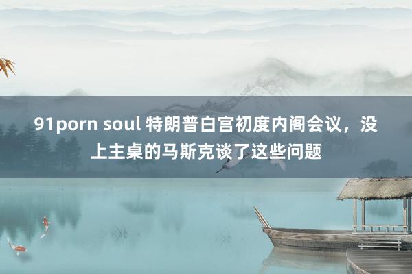 91porn soul 特朗普白宫初度内阁会议，没上主桌的马斯克谈了这些问题