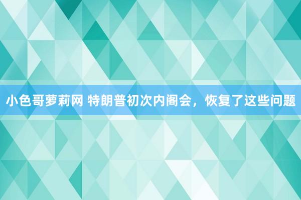 小色哥萝莉网 特朗普初次内阁会，恢复了这些问题