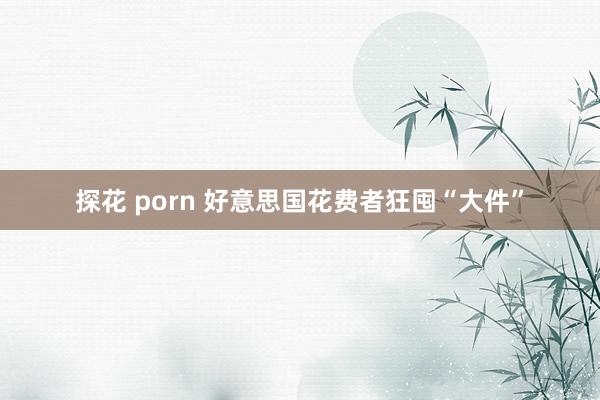 探花 porn 好意思国花费者狂囤“大件”