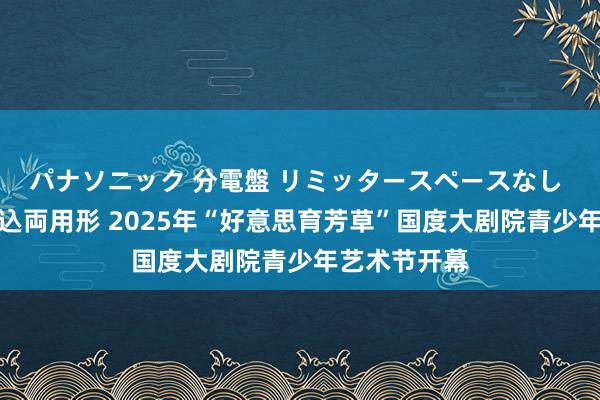 パナソニック 分電盤 リミッタースペースなし 露出・半埋込両用形 2025年“好意思育芳草”国度大剧院青少年艺术节开幕