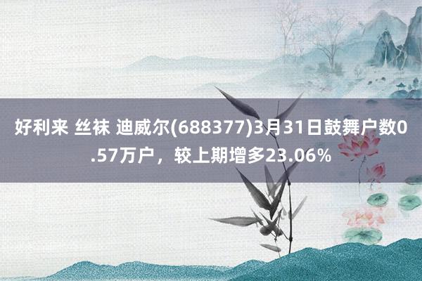 好利来 丝袜 迪威尔(688377)3月31日鼓舞户数0.57万户，较上期增多23.06%